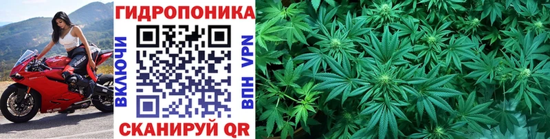 Канабис планчик  Купить  Электросталь 